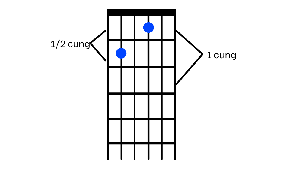 cung và nửa cung trên guitar